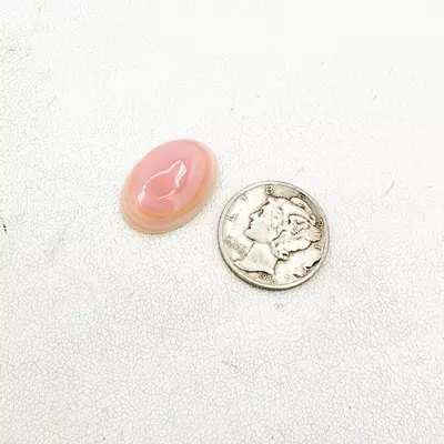 plant/Pink Conch Large Oval Cabochon-0-thumbnail