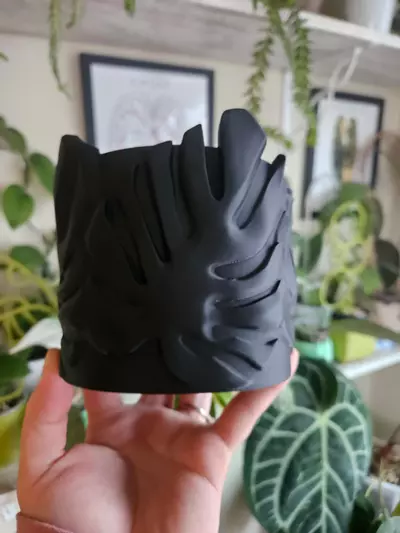 plant/Monstera 4" cache pot in black-1-thumbnail
