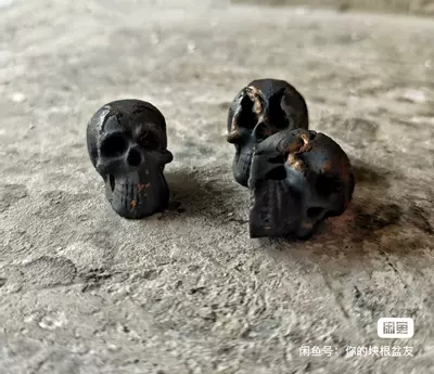 plant/Mini skull-0-thumbnail