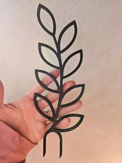 plant/Black leaf trellis-0-thumbnail
