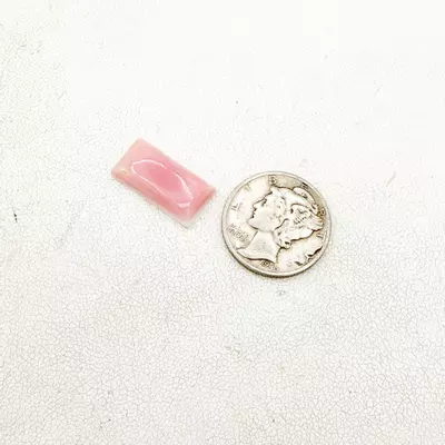 plant/Pink Conch Bar Cabochon-0-thumbnail