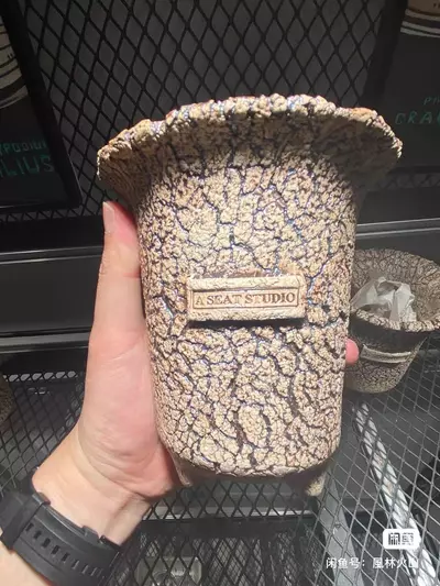 plant/【501】A seat studio-0-thumbnail