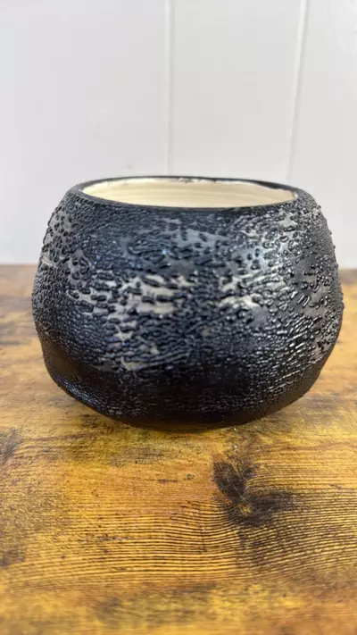 plant/P00798-1-thumbnail