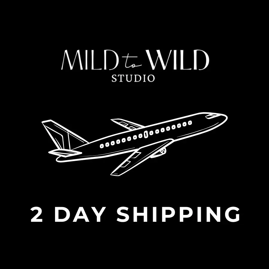 shipping_upgrade/2 Day Shipping Upgrade-0