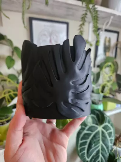 plant/Monstera 4" cache pot in black-0-thumbnail