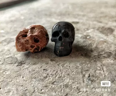 plant/Mini skull-1-thumbnail