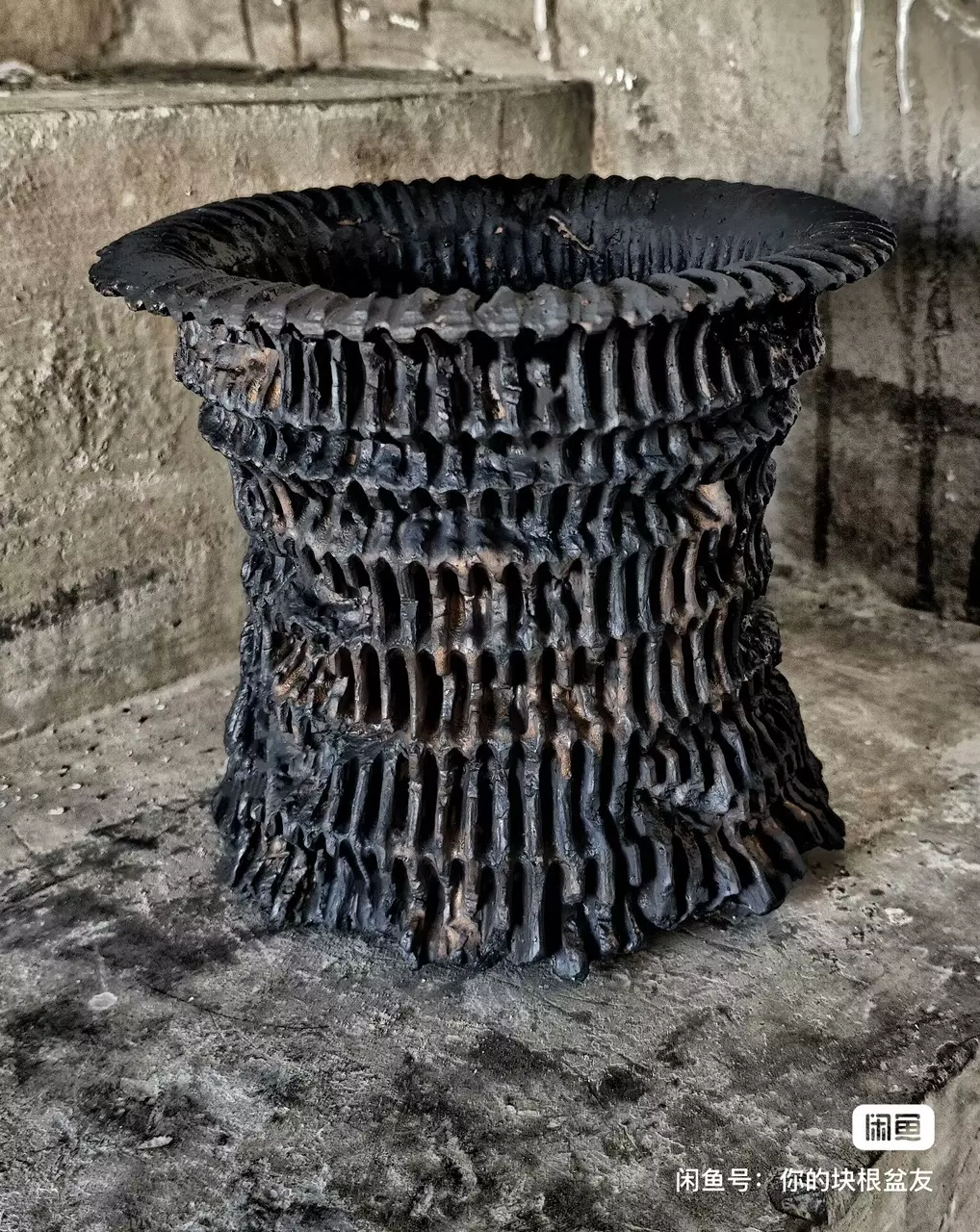 plant/【505】4.7*6-0