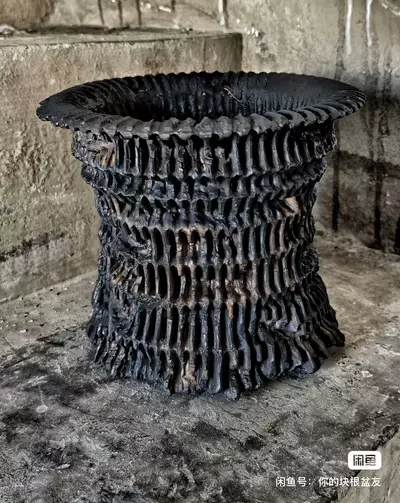 plant/【505】4.7*6-0-thumbnail