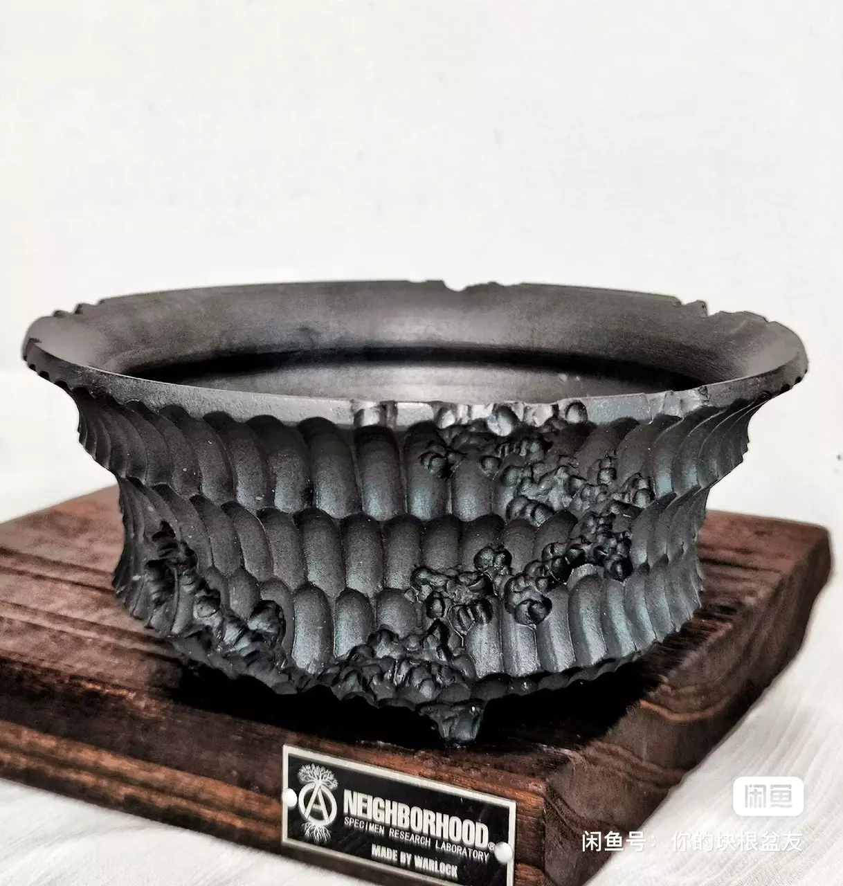 plant/【507】6.3*2.4-0