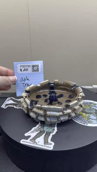 plant/P00799-2-thumbnail