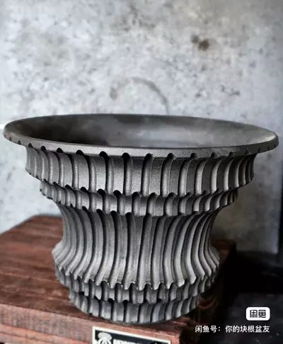 plant/【506】5.5*4.7-0-thumbnail