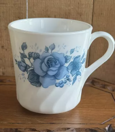 plant/Bundle-3-thumbnail