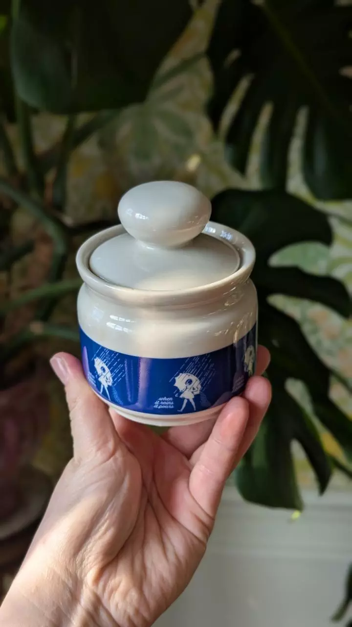 plant/Morton salt girl creamer and sugar set-1