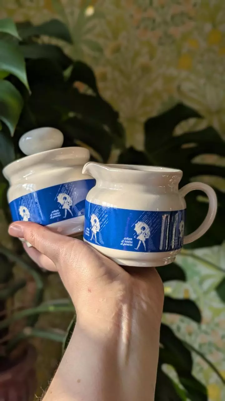 plant/Morton salt girl creamer and sugar set-0