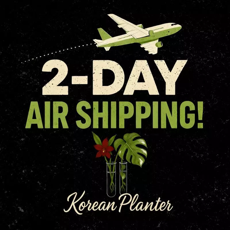 plant/2 day air shipping-0