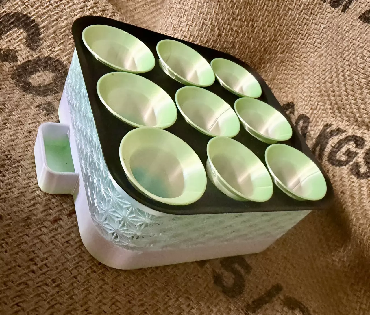 plant/Seed Starter Tray-3