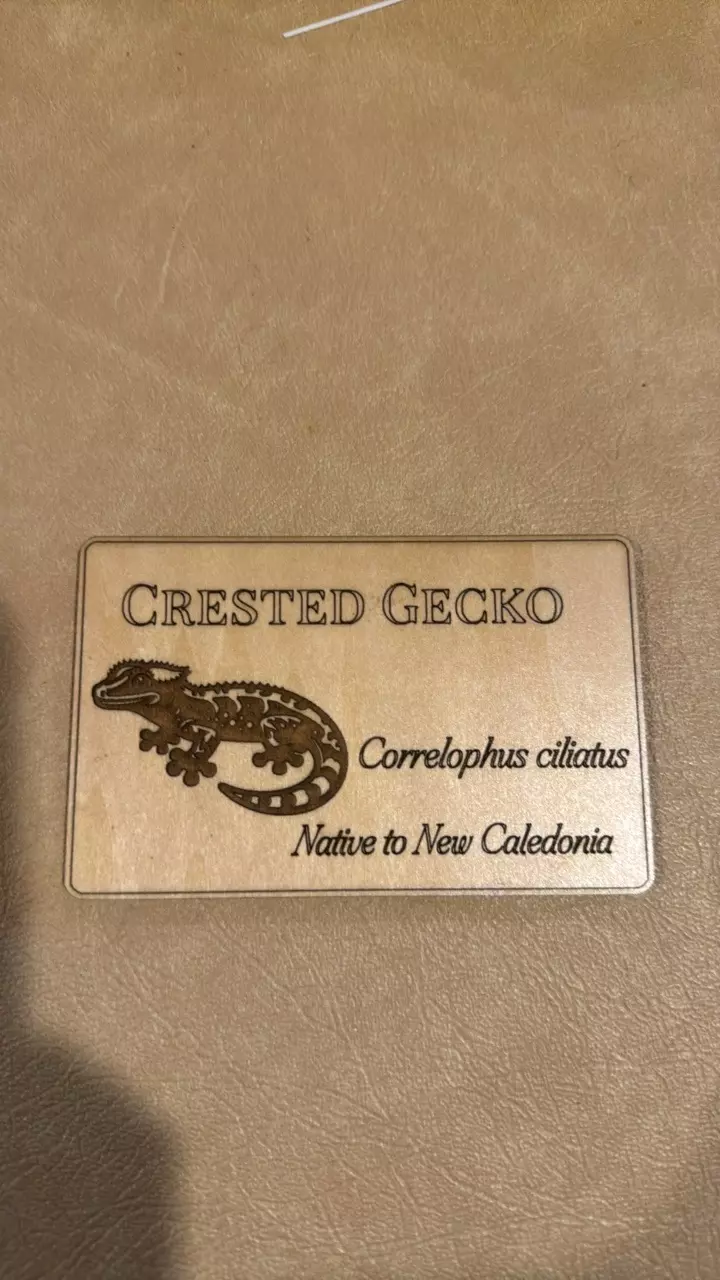 plant/Crested Gecko Name Plaque-0