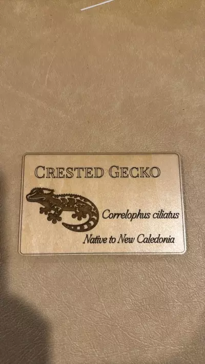 plant/Crested Gecko Name Plaque-0-thumbnail