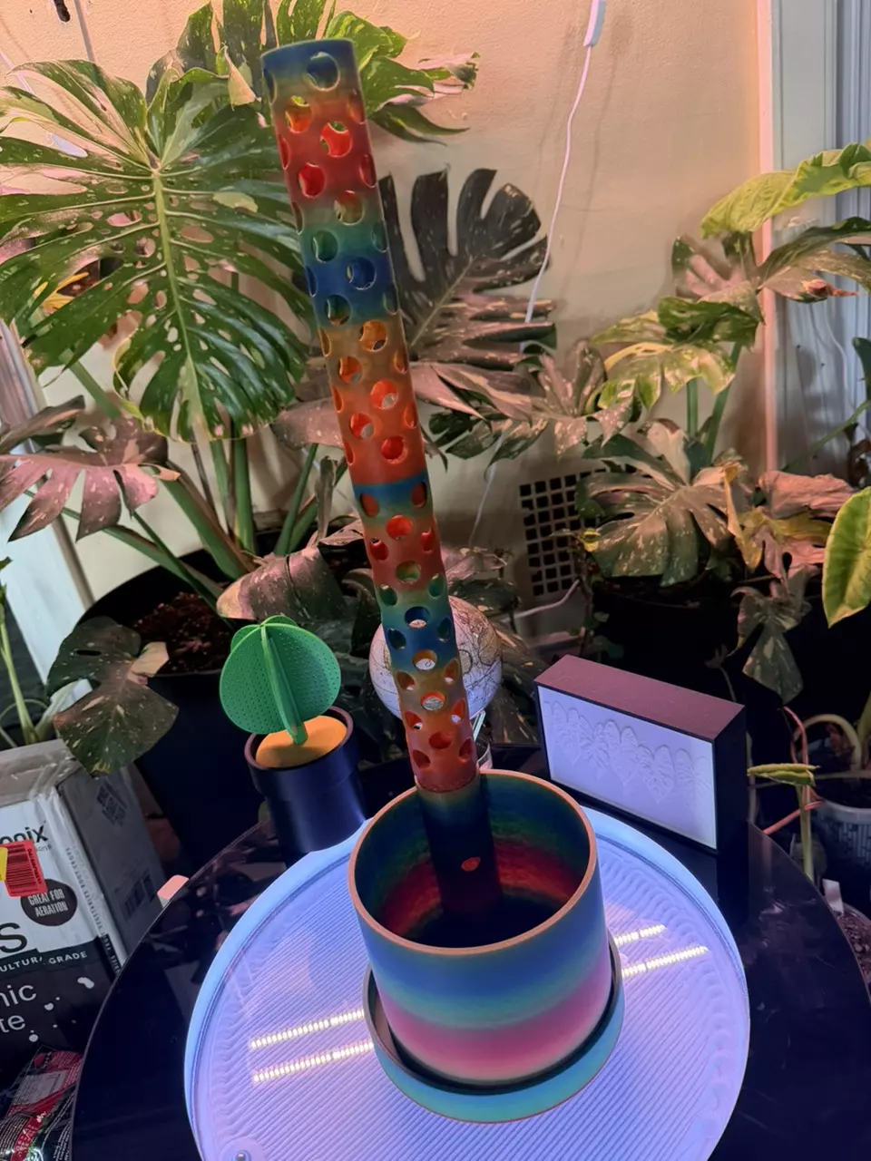 plant/Custom Pot with 2 moss poles, base, slow drip for pole (color options available)-8