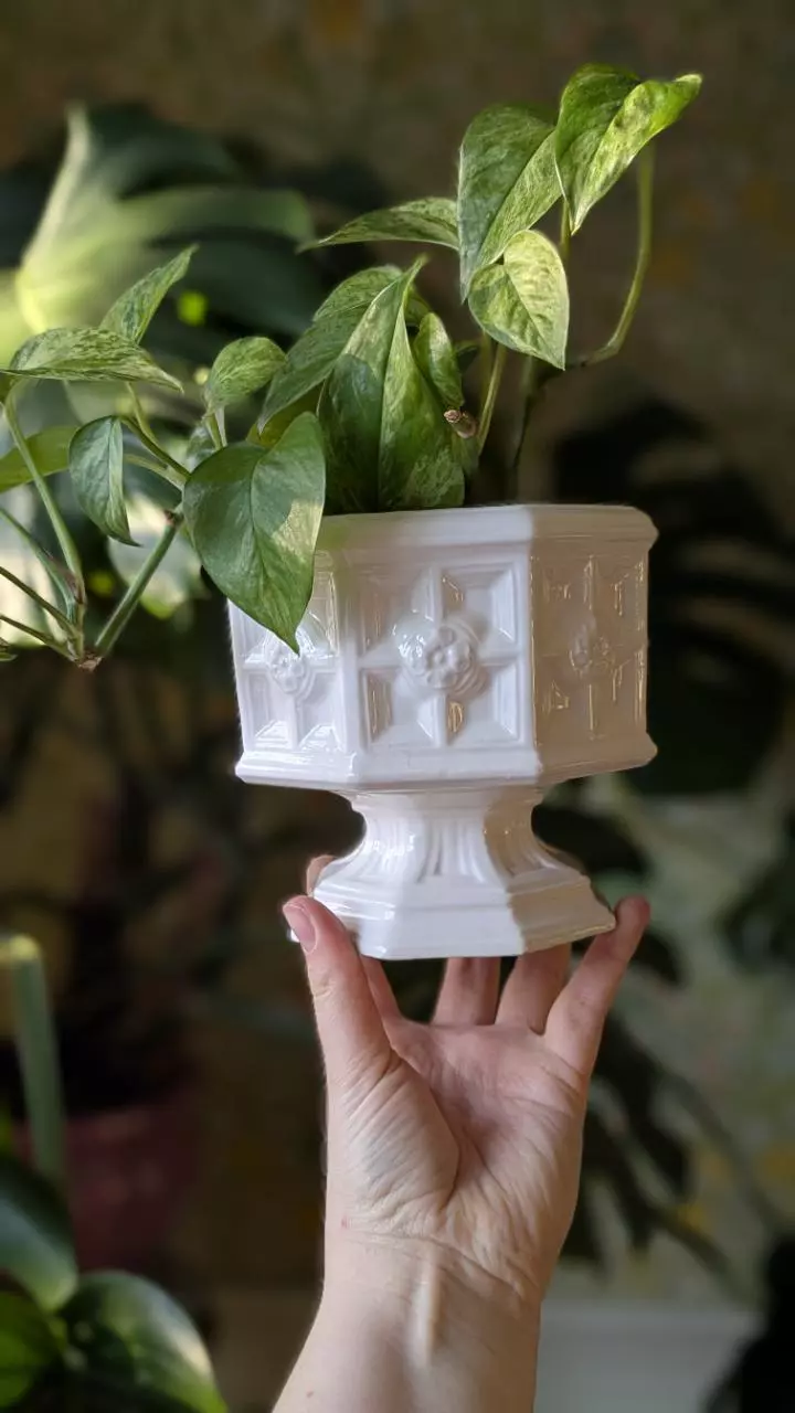 plant/vintage ceramic footed planter-0