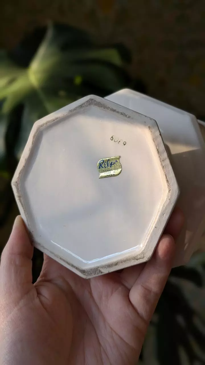 plant/vintage ceramic footed planter-2