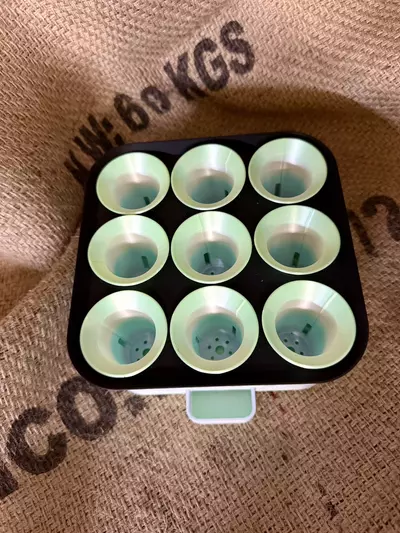 plant/Seed Starter Tray-2-thumbnail