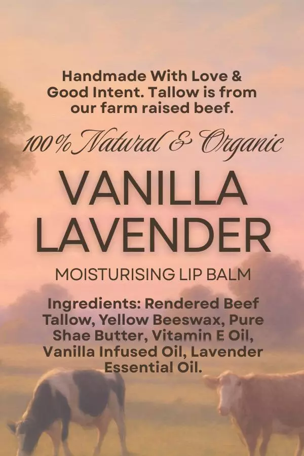 plant/Homemade Beef Tallow Lip Balm- Vanilla Lavender-0