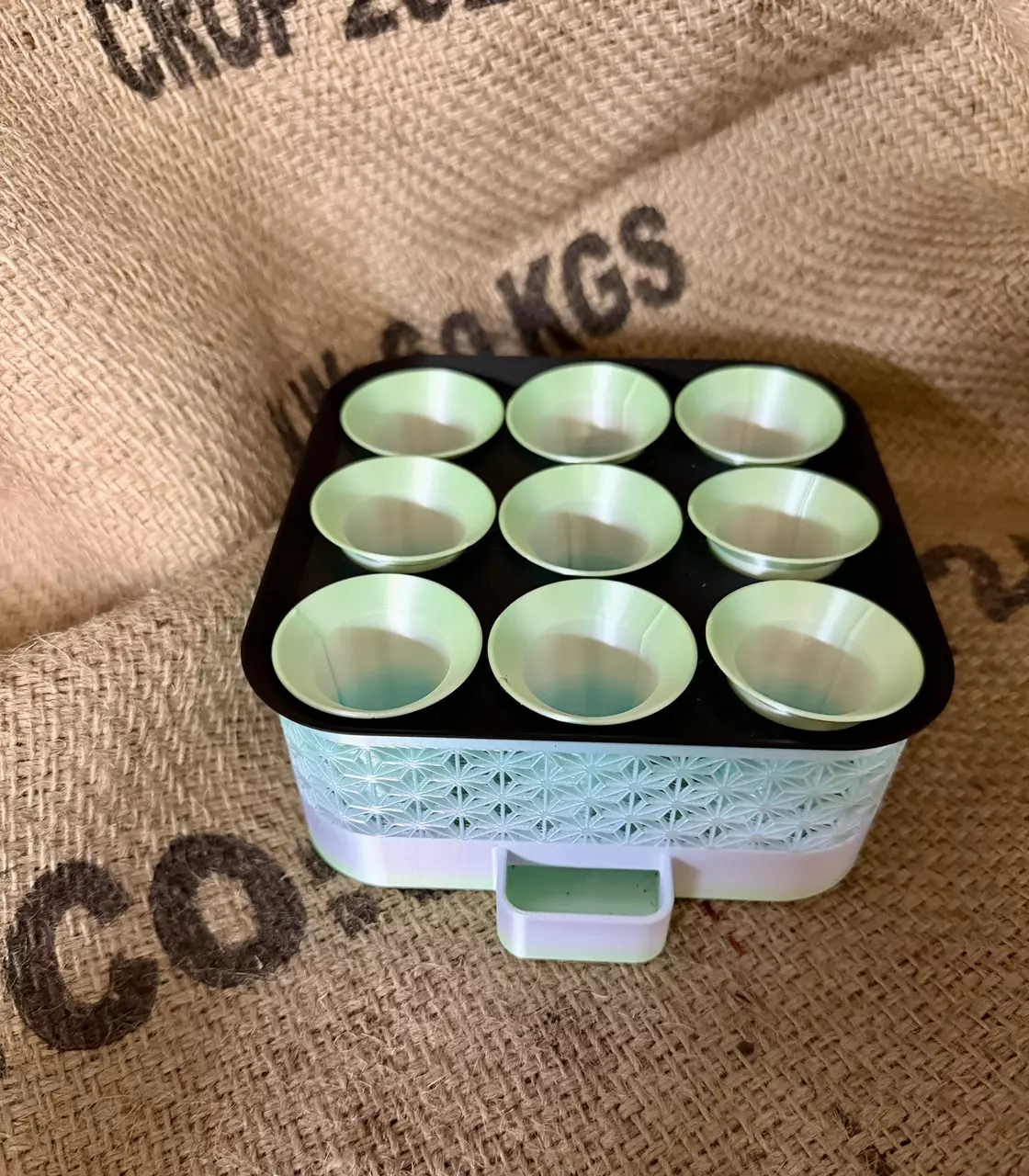 plant/Seed Starter Tray-1