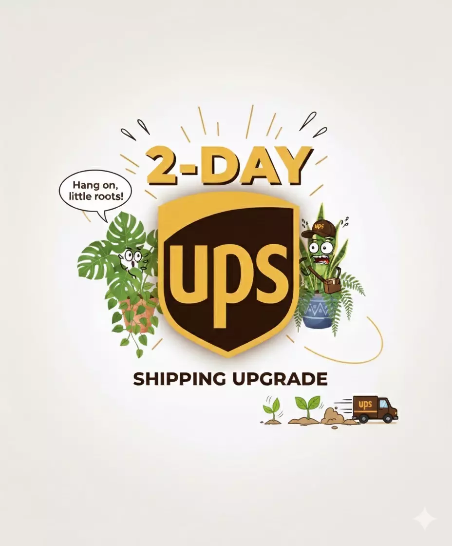 shipping_upgrade/UPS 2-Day Shipping-0