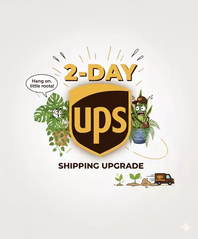 shipping_upgrade/UPS 2-Day Shipping-0-thumbnail