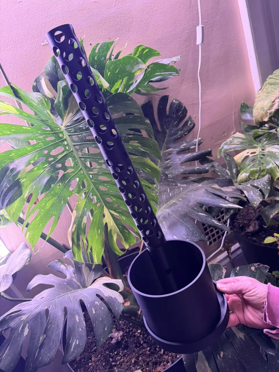 plant/Custom Pot with 2 moss poles, base, slow drip for pole (color options available)-1