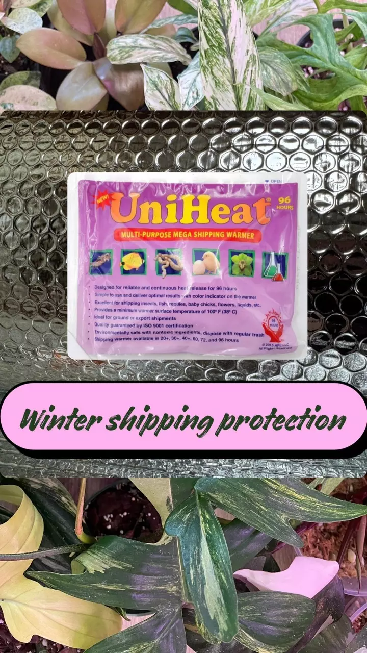 shipping_upgrade/Winter shipping protection-0
