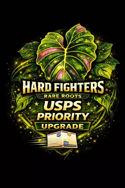 shipping_upgrade/USPS Priority Shipping-0-thumbnail