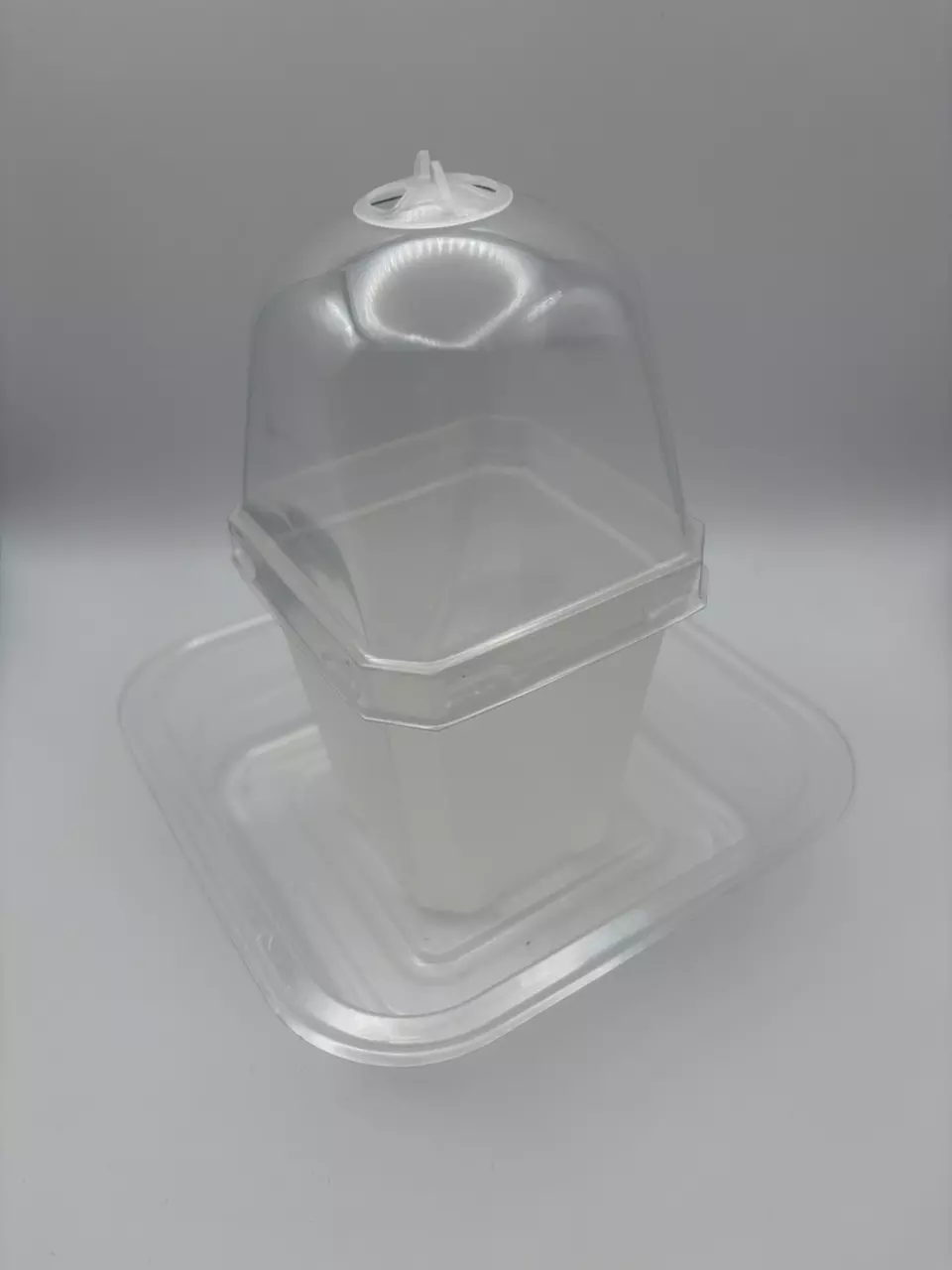 free_shipping/Pots and Trays, Por Favor-0