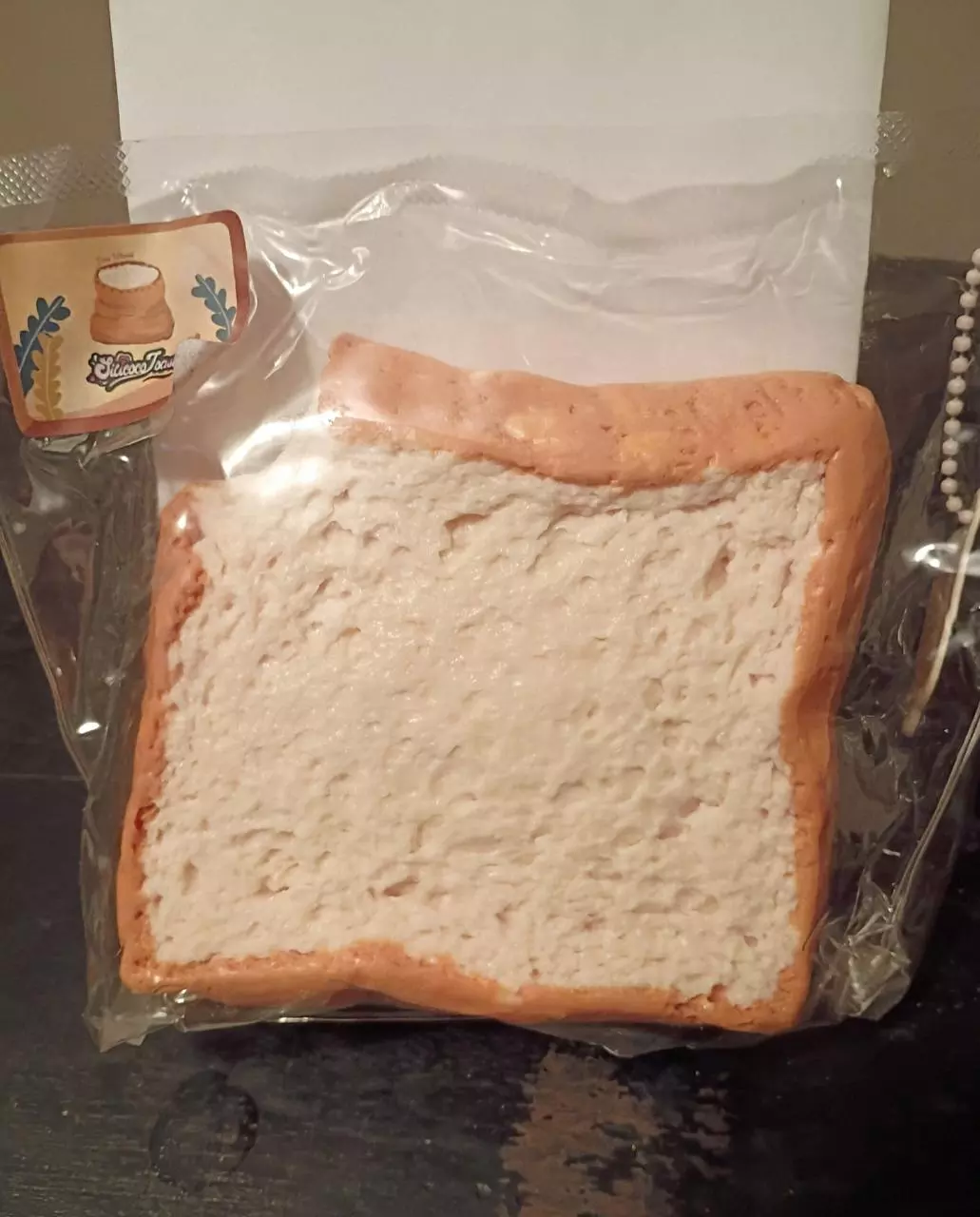 plant/TABASQUISHY SILICOCO TOAST-0