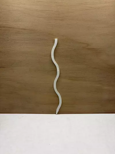 plant/5pk White Diamond 6” Support Sticks-0-thumbnail