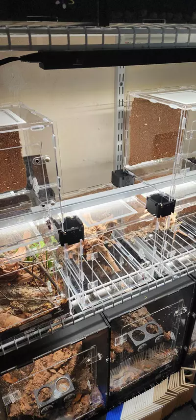 plant/4 pack SPACERS-1-thumbnail