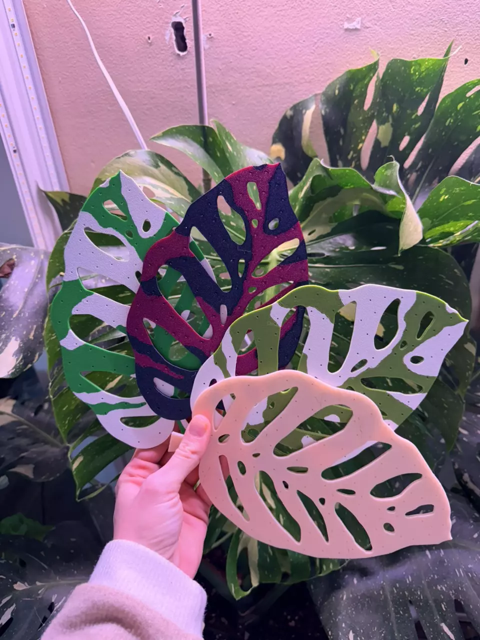 plant/Customized earring holder! Many color options are available!!!-0