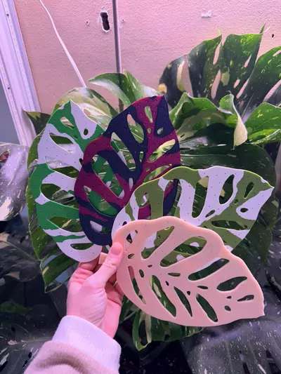 plant/Customized earring holder! Many color options are available!!!-0-thumbnail