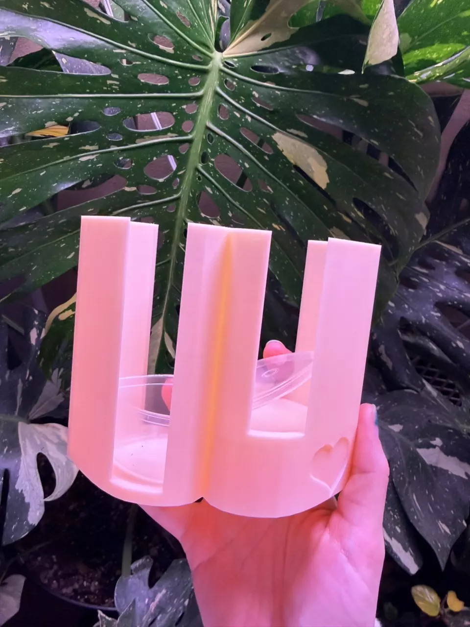 plant/Custom Heart shape holder for corm cups (many color options available)-0