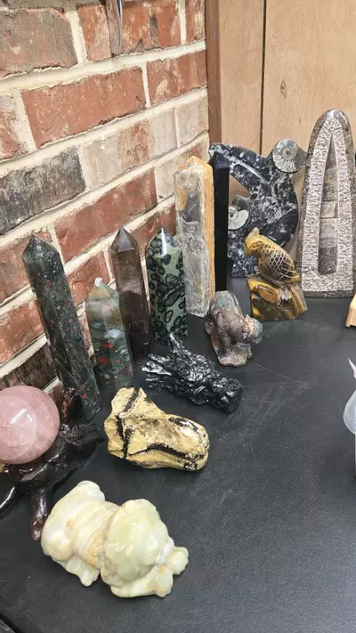 plant/Display items-0-thumbnail