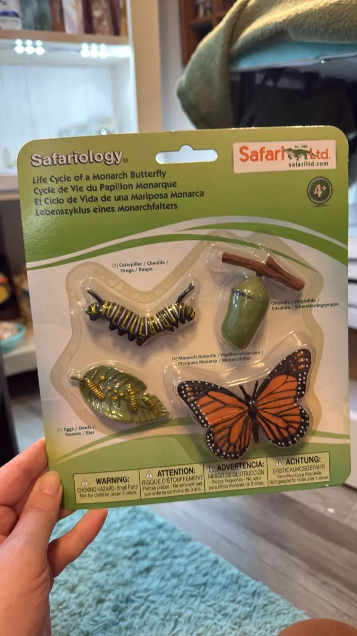 plant/SALE: Monarch Life Cycle Toy | org $12-0