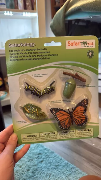 plant/SALE: Monarch Life Cycle Toy | org $12-0-thumbnail