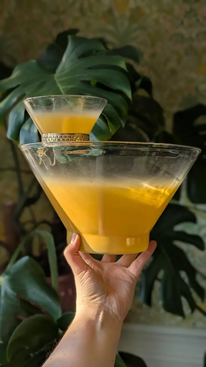 plant/Blendo yellow tangerine chips and dip serving bowl-0