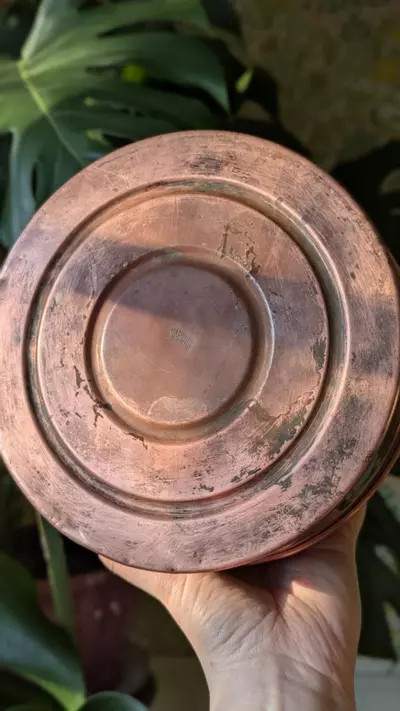 plant/large copper tea pot, made in england-1-thumbnail