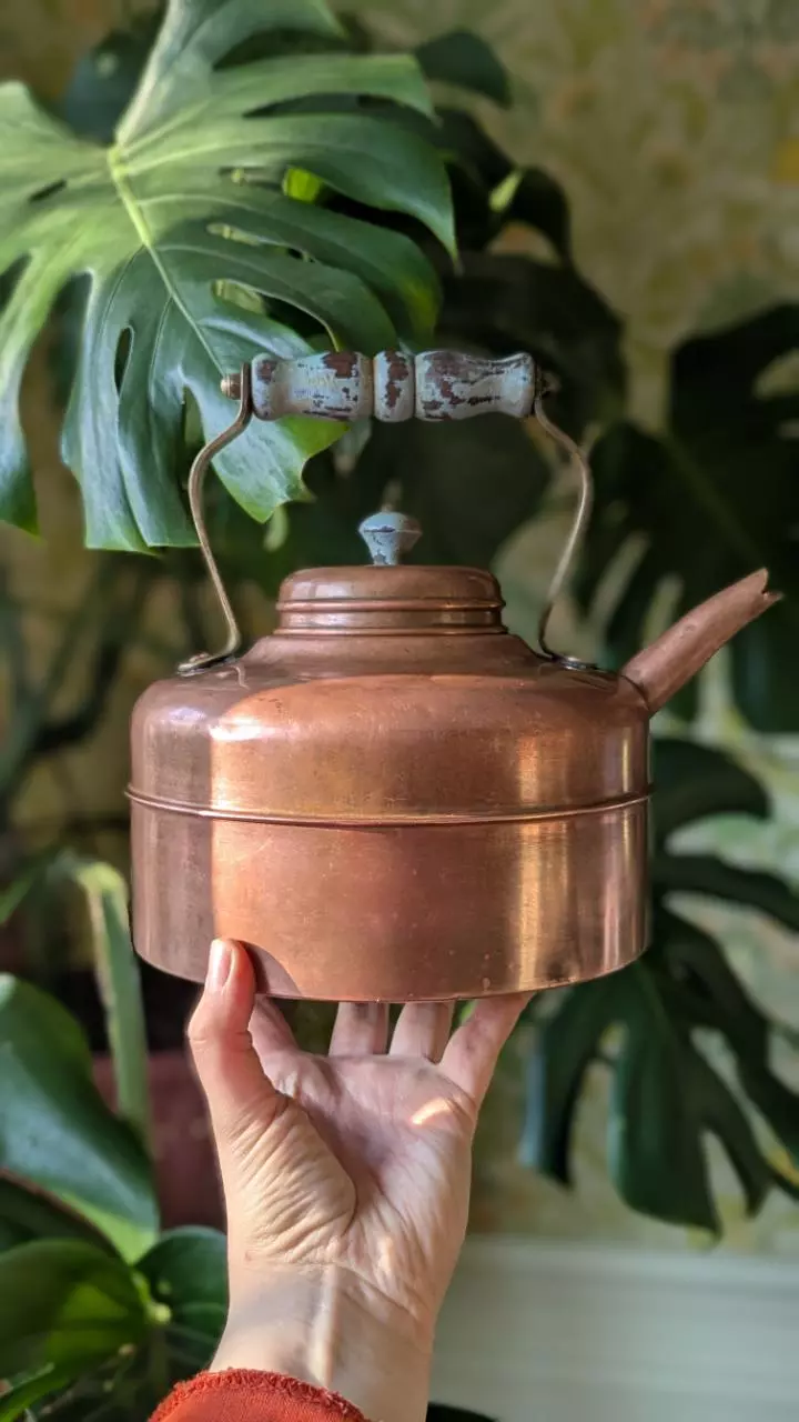 plant/large copper tea pot, made in england-0