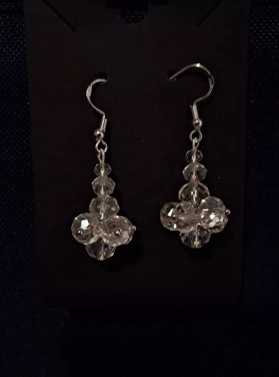 plant/Handmade earrings-0