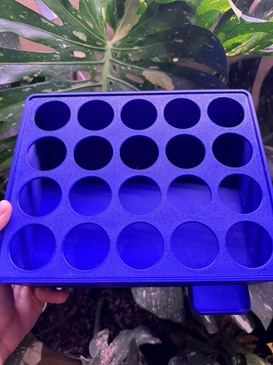 plant/CUSTOM LID AND POTS ONLY (no base) color customization available-2