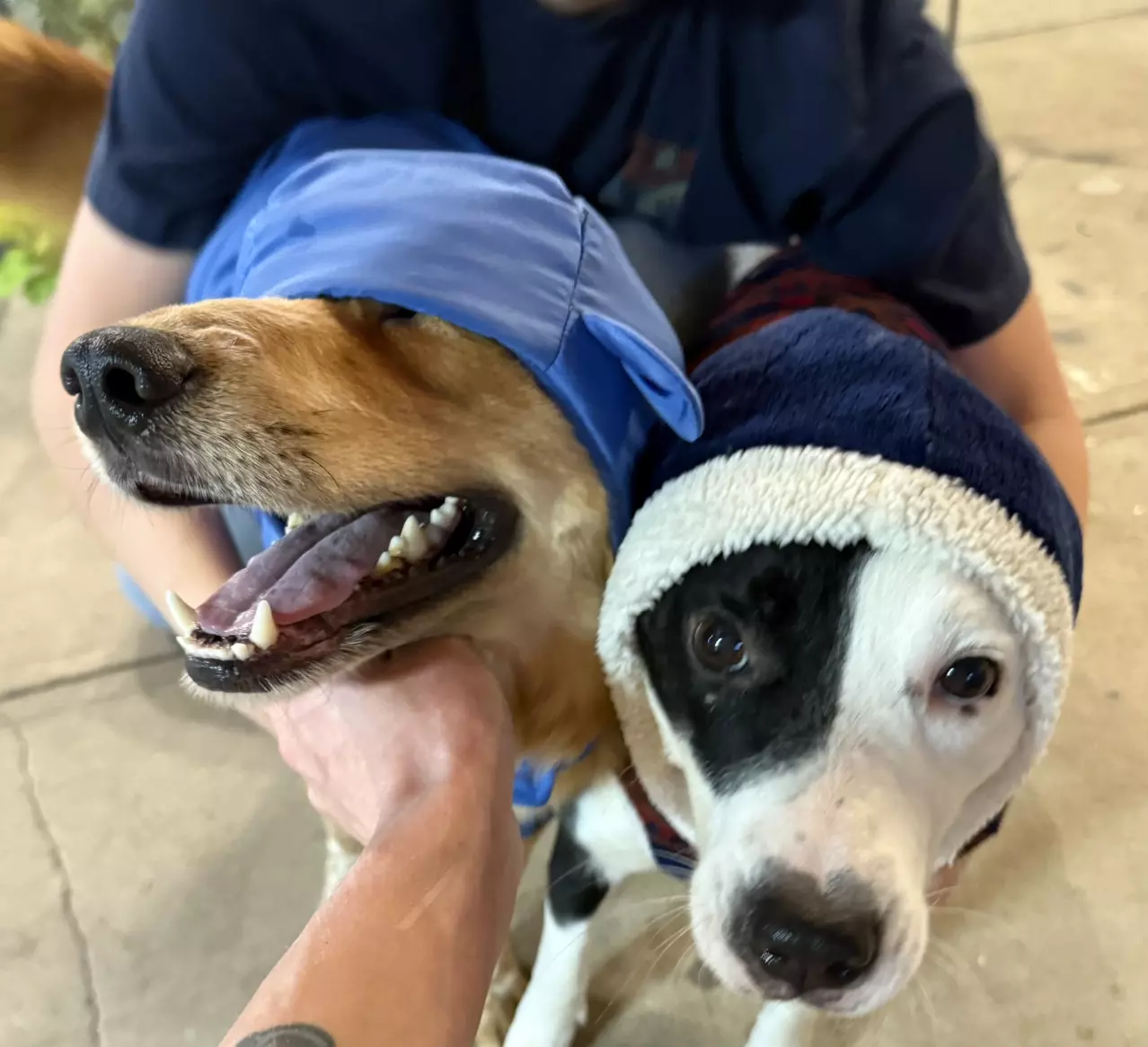 plant/COLD WEATHER GUARANTEE-0