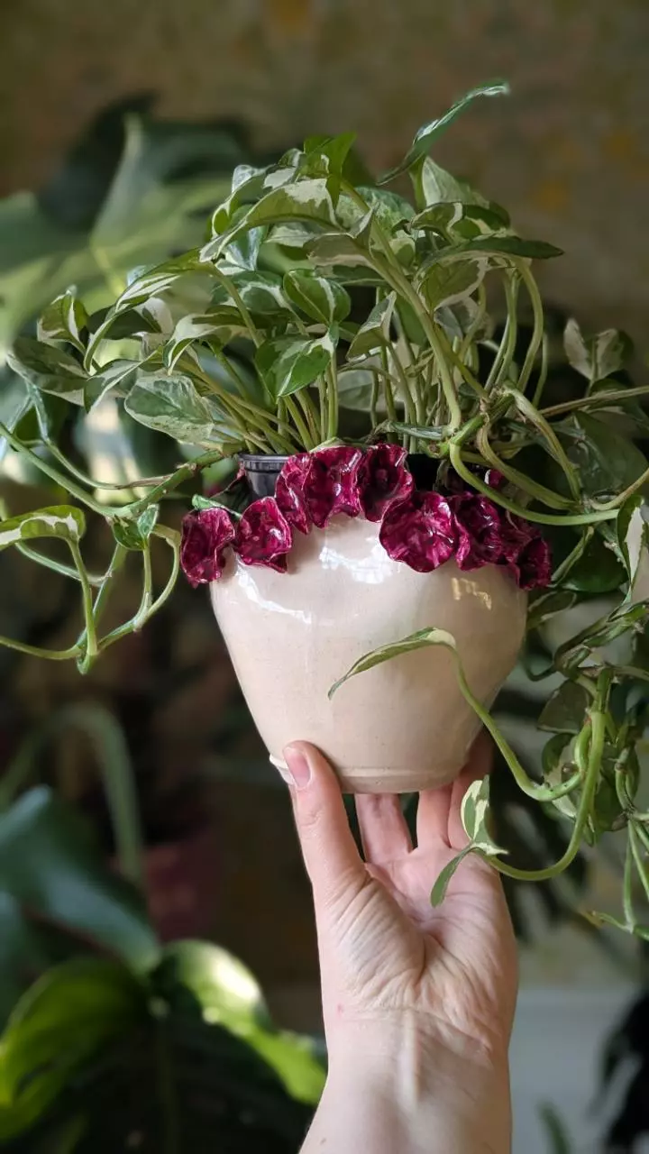 plant/studio pottery fuchsia floral planter or vase-3